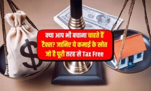टैक्स से राहत: जानिए 5 आय स्रोत जो पूरी तरह टैक्स-फ्री हैं!